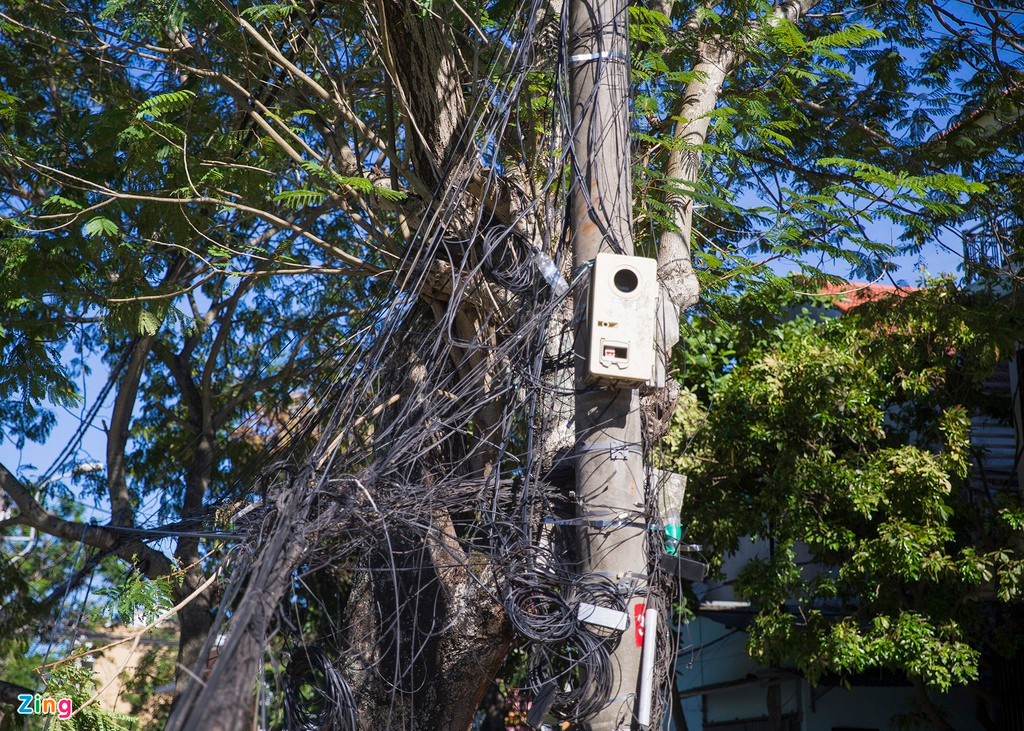 Nhiều loại dây quấn trên trụ điện. Ảnh: Đoàn Nguyên.