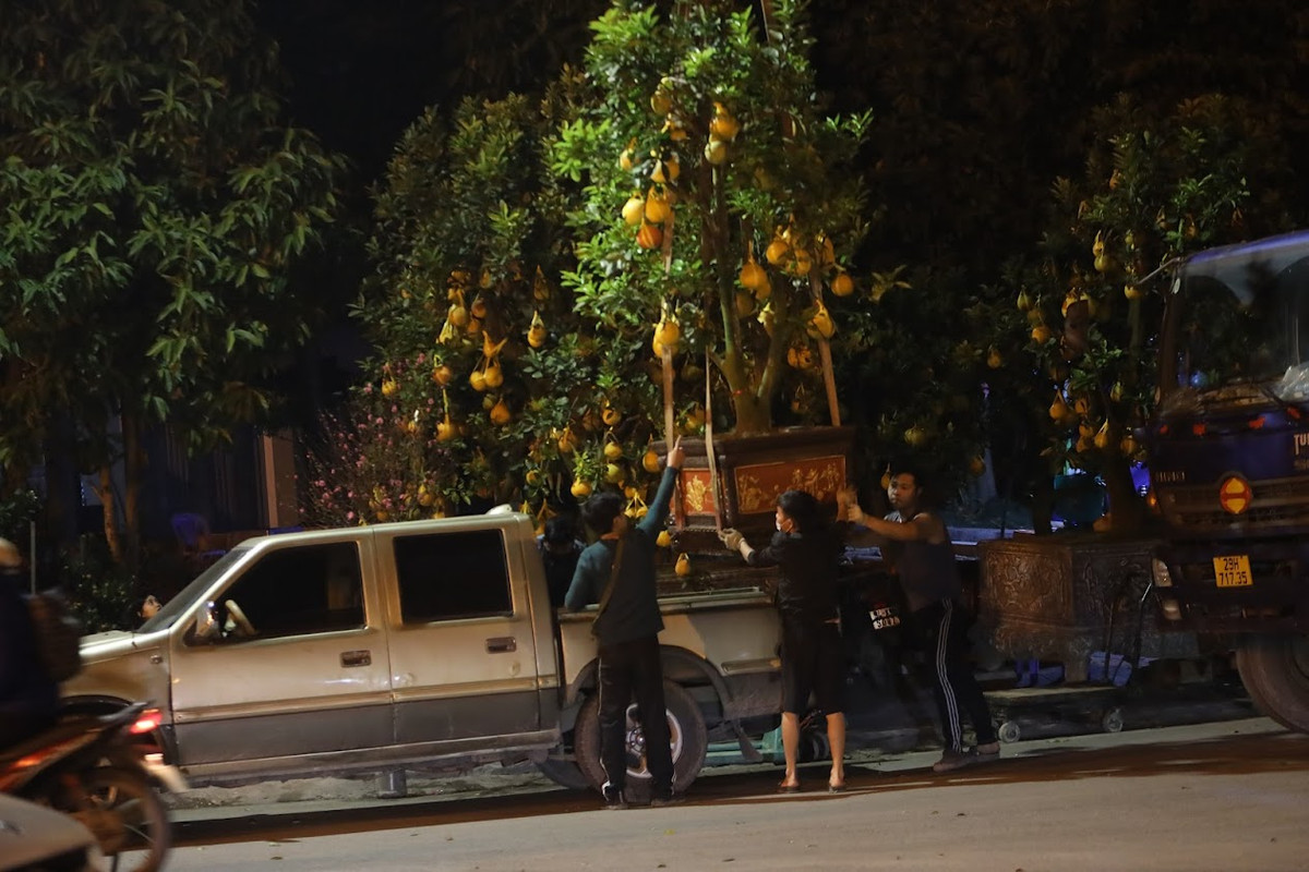 Anh Lý (Quốc Oai - Hà Nội) tâm sự, vào mỗi dịp cận kề Tết Nguyên đán, anh lại khăn gói ra vỉa hè khu vực Lạc Long Quân (Tây Hồ) để bán đào quất.