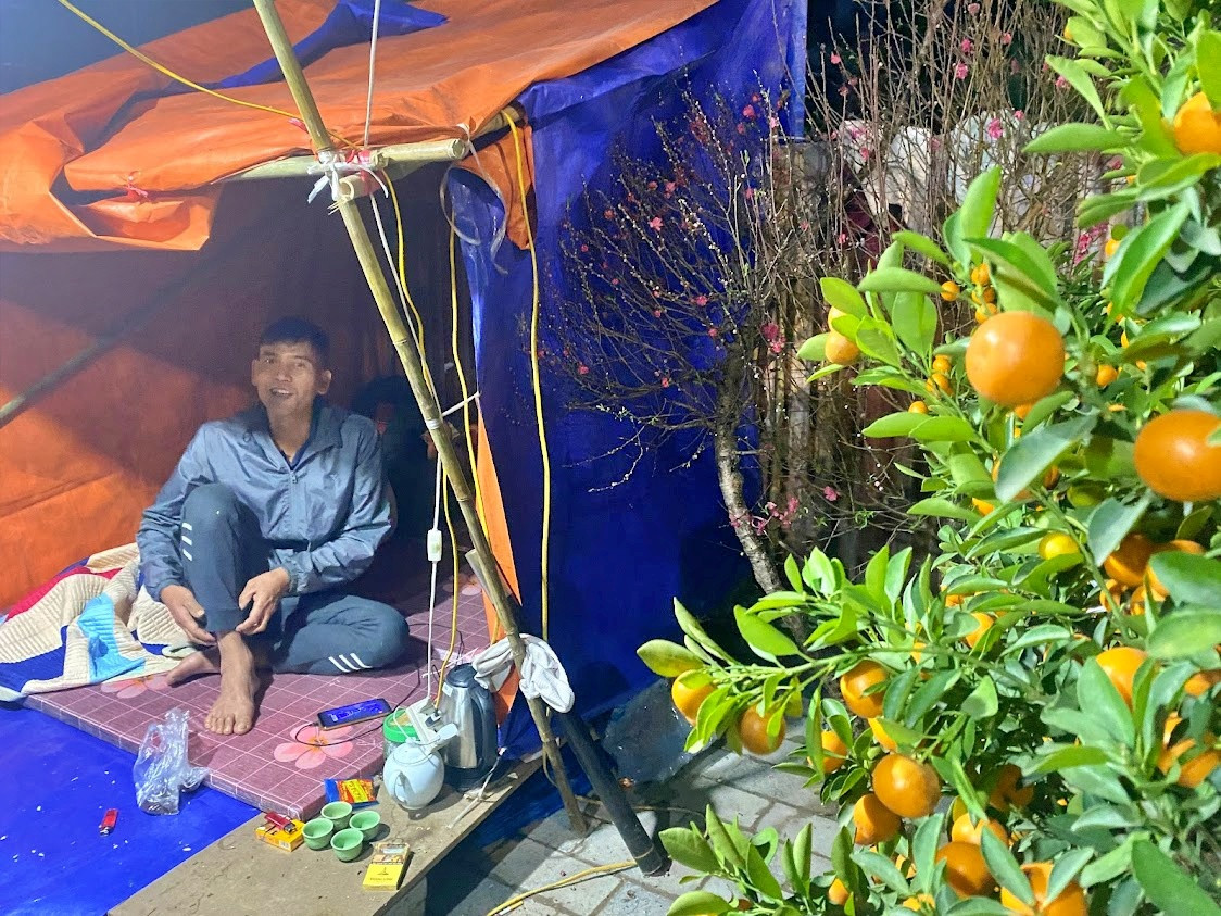 Những ngày cận Tết, thời tiết thất thường. Nếu trời mưa quất sẽ đẹp hơn, tươi hơn.