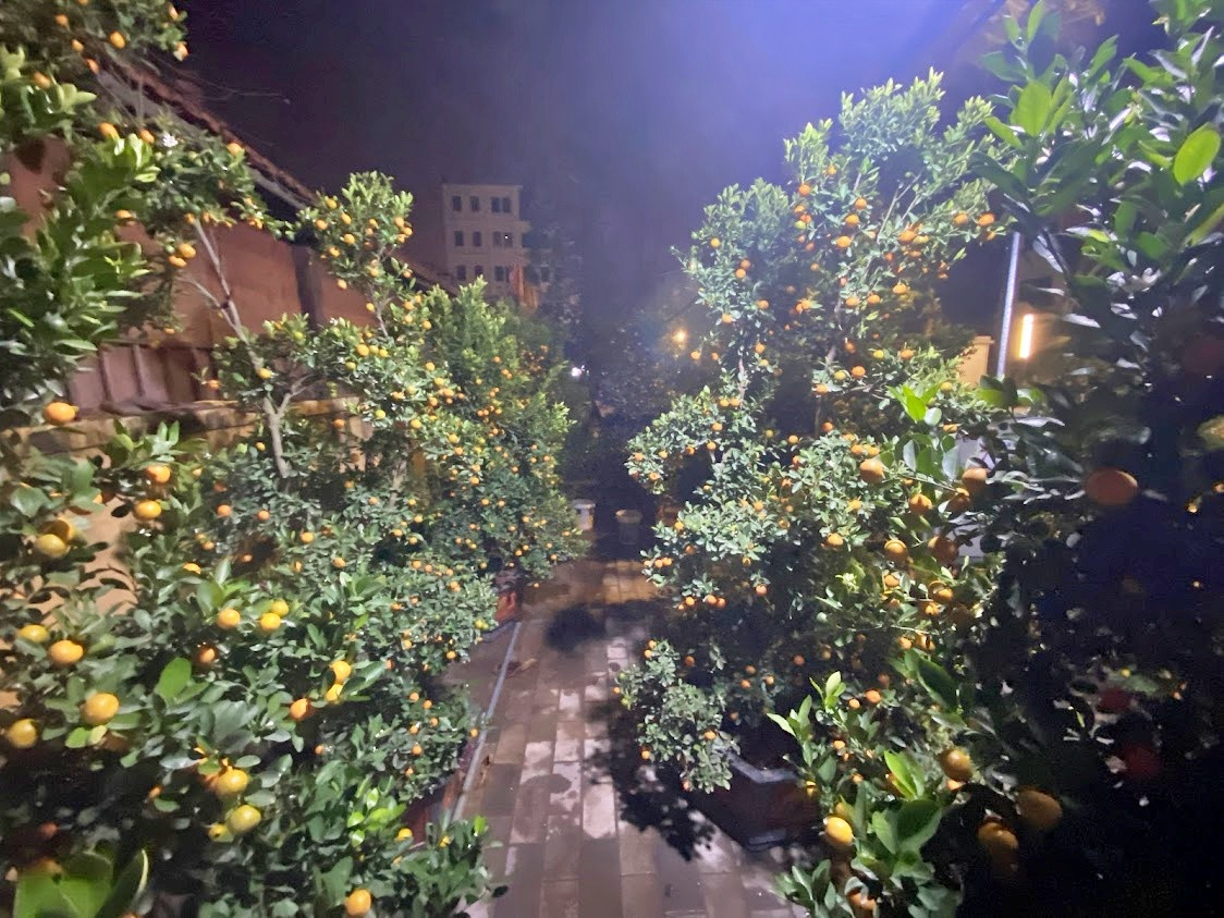 Anh Lý: "Ban ngày bê cây, đến tối nhiều khi mệt quá cả 2 anh em đều ngủ. Cây thì không mất bao giờ còn điện thoại rất dễ bị mất trộm. Nhiều khi ngủ say giật mình tỉnh giấc vì chuột cắn chân, ở vỉa hè nhiều chuột lắm".