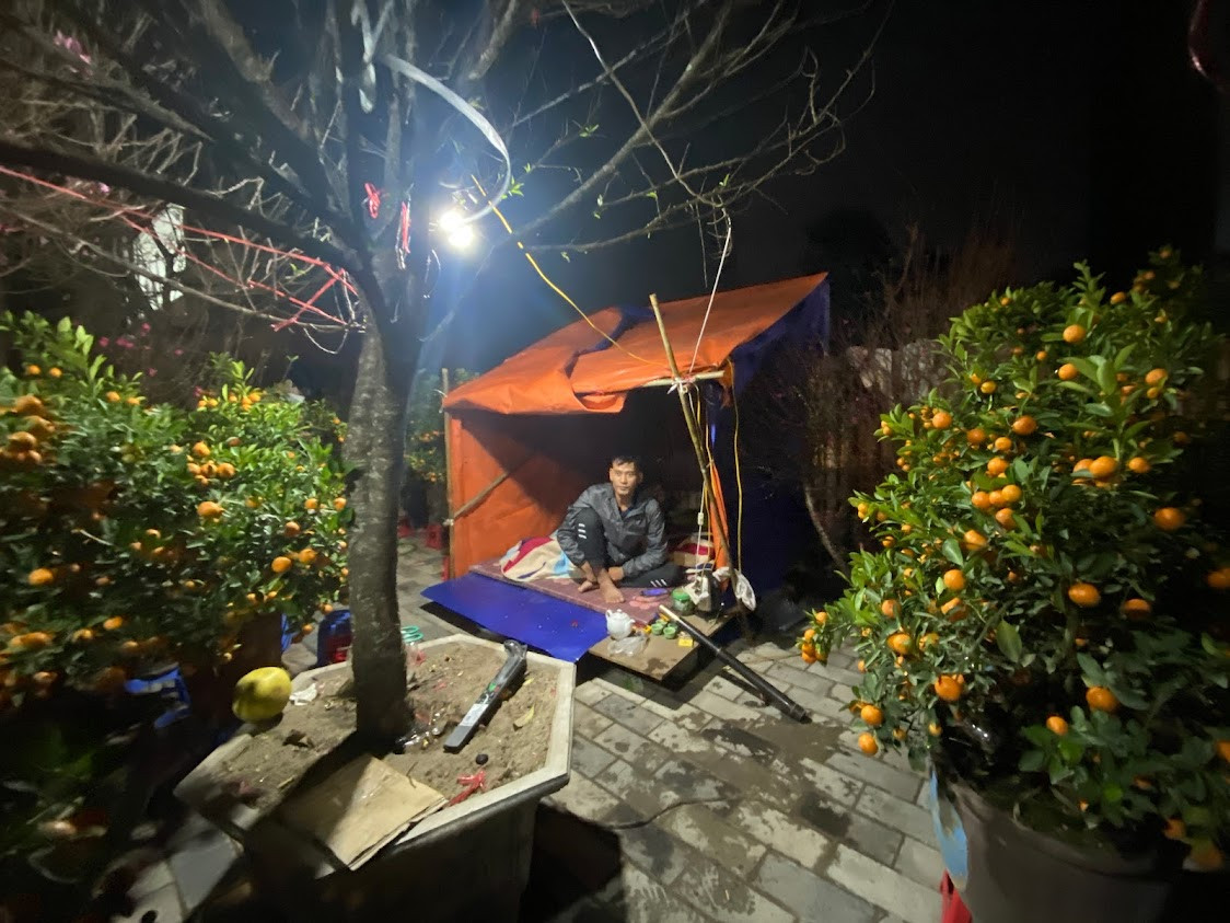 Nhưng dân buôn đào quất như anh sẽ vất vả hơn vì phải bám trụ ở vỉa hè trong mưa rét.