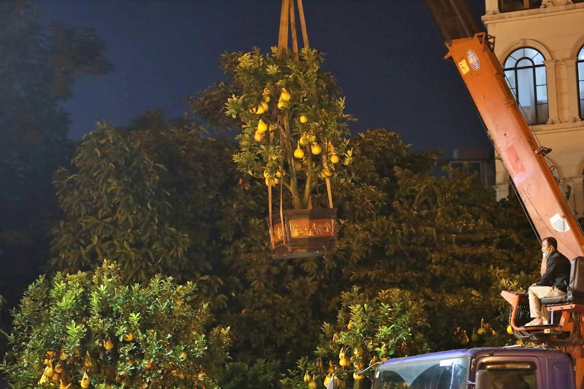 Sau 8h tối, hầu như không còn khách, anh Lâm lại lấy dây buộc các cây lại với nhau và chui vào lều bạt để nghỉ ngơi. “Những hôm rét thì đỡ, chứ Hà Nội vào hôm mưa phùn thì rất nhiều muỗi”. 