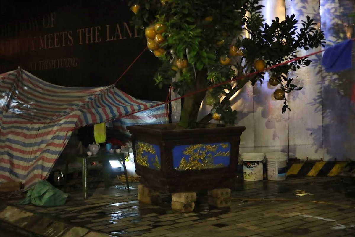 Theo anh, thì giá đào quất bán tại vườn năm nay giảm một nửa so với năm ngoái. Lượng khách mua đào quất cũng giảm mạnh. Hàng ế ẩm.