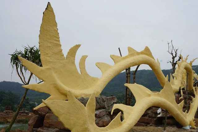 Đuôi rồng nhìn như đuôi cá hố