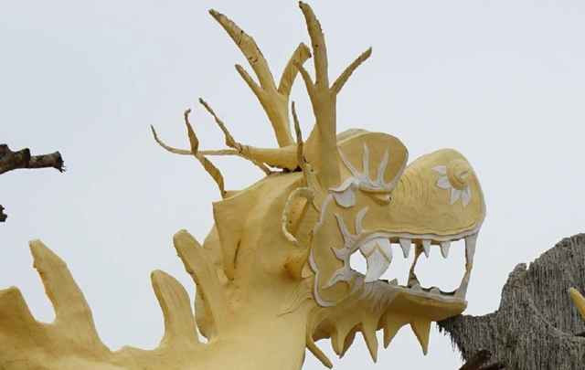 Thậm chí có ý kiến nhận xét, phần thân của linh vật giống con lươn, trong khi đầu rồng dáng thô, đuôi rồng nhìn như đuôi cá hố (một loại cá biển).