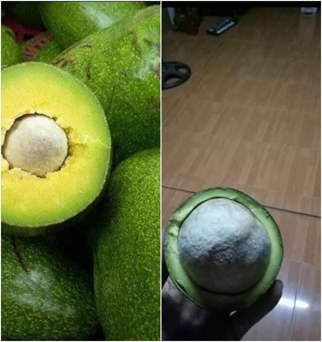 Có lẽ khi cắt xong quả bơ này, người mua đã muốn "bơ" luôn cả thế giới.