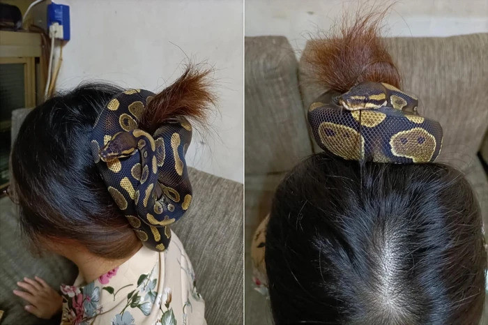 Dung ran lam day buoc, nhin thoi da te het da dau roi