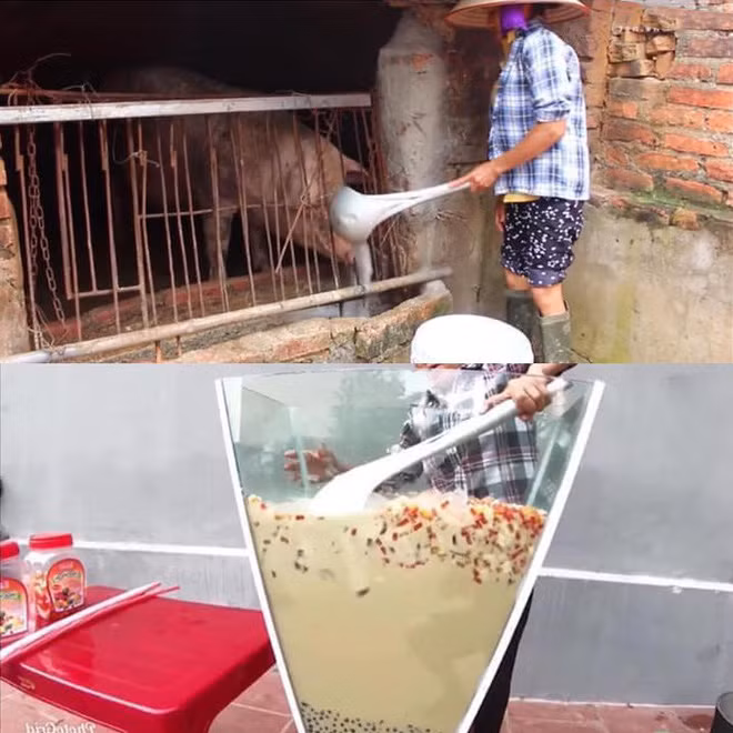 "Cháu tưởng nhà bà trộn hồ để xây nhà", "Nhìn như bê tông trộn sỏi vụn", "Trà sữa xi măng hả bà", "Màu nó i chang cái tường nhà con",... cư dân mạng phản ứng sau màn nhá hàng cốc trà sữa của bà Tân Vlog.