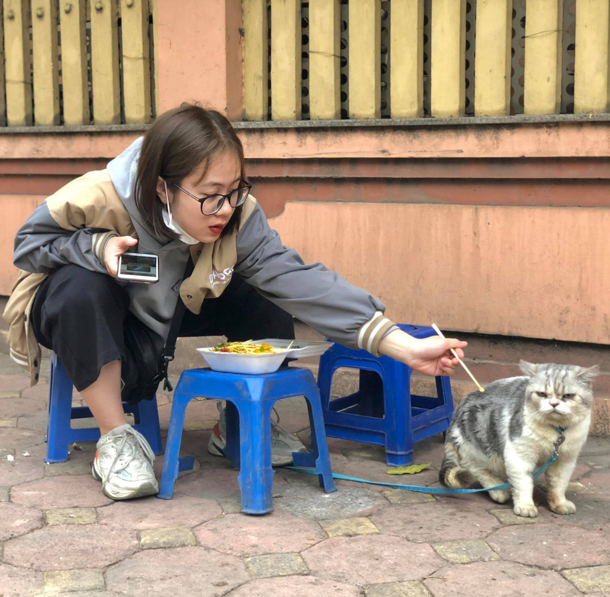 Ngày hôm đó, khi ra ngoài đi chơi, chú mèo vô cùng vui vẻ, hạnh phúc khi được "con sen" đưa đi dạo phố, lượn ăn đồ ăn ngon.