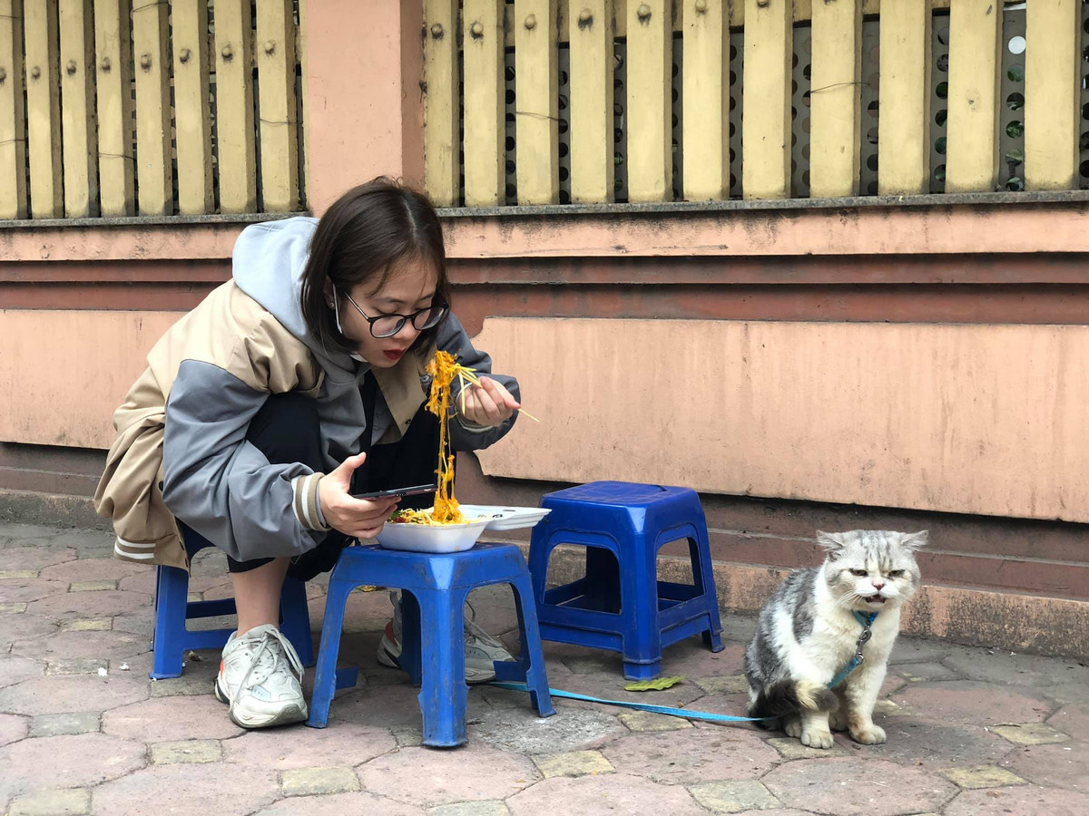 Tưởng chừng được đi ăn món nào sang chảnh nhưng "con sen" lại đi ăn bánh tráng trộn đến nỗi chú mèo ngửi thử nhưng cảm thấy không ăn đươc nên đành quay mặt đi dỗi hờn.