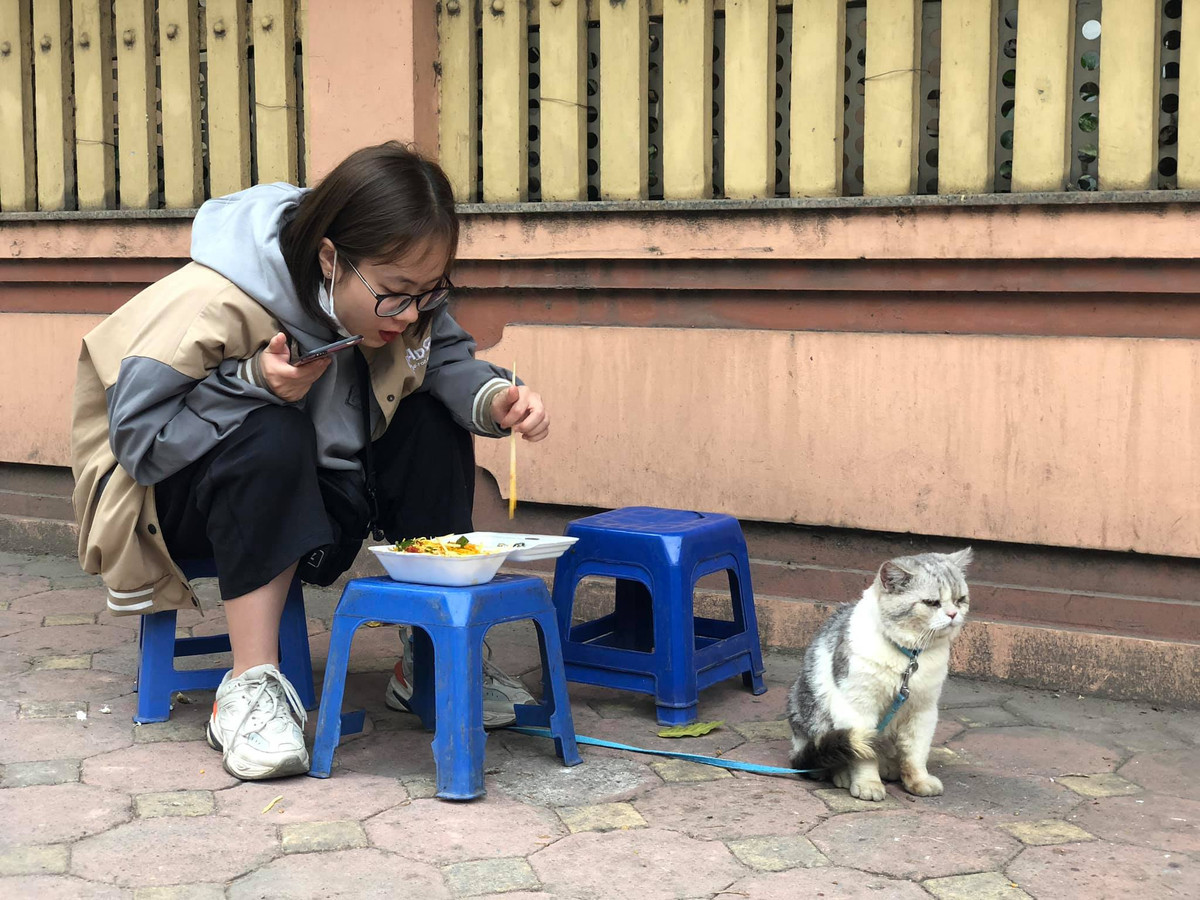 Mới đây, một cư dân mạng đăng tải những hình ảnh hài hước và thú vị về phản ứng của chú mèo cưng sau khi bị "con sen" ăn mảnh 1 mình khiến rất nhiều người ngạc nhiên, thích thú.