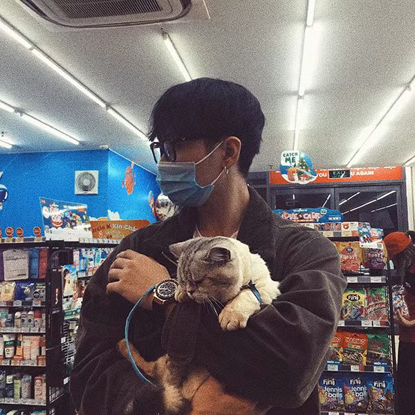 Sau khi những hình ảnh của chú mèo hờn dỗi tên Tom được đăng tải, rất nhanh chóng đã thu hút sự chú ý của mọi người.