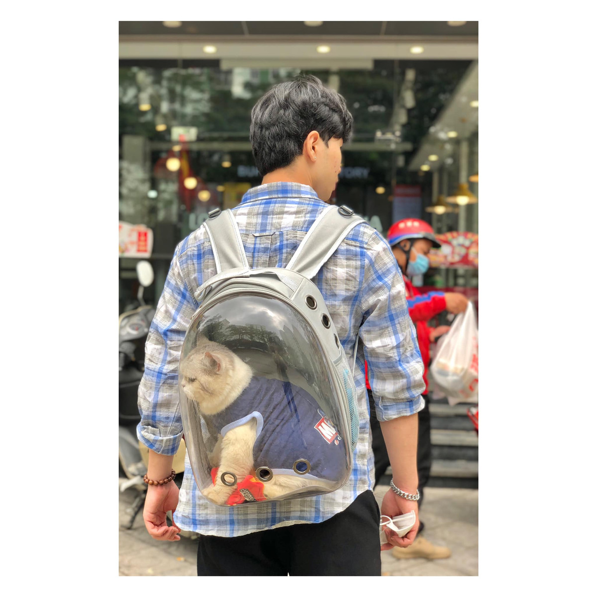 Cụ thể, sau khi chia sẻ vào fanpage Đảo Mèo những bức ảnh của Tom được các thành viên để lại bình luận như: "Đưa đi ra ngoài ăn mà lại không có món gì ăn được, bảo sao dỗi là phải", "Ăn toàn những món gì làm mèo ta không ăn được lại chả dỗi cho"…