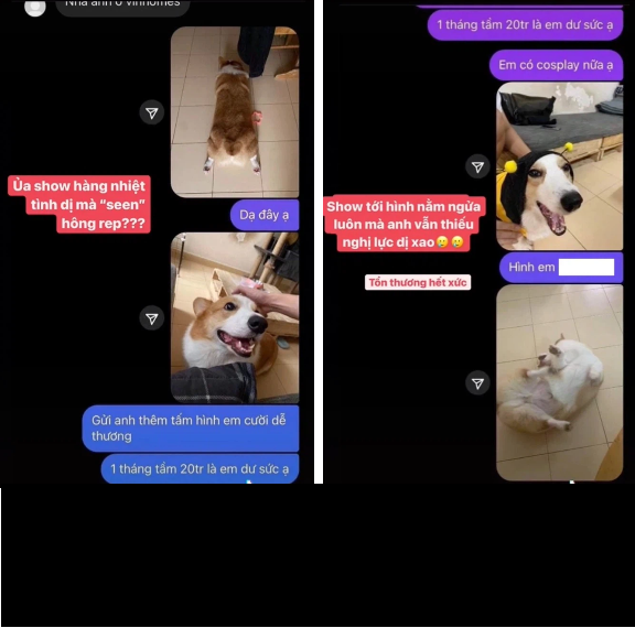 Đáp lại, Đoan Minh cũng không phải dạng vừa, cà khịa lại ngay: "Có tiền không mà đòi chu cấp 1 tháng 10 triệu?" và đòi tăng giá lên 20 triệu/tháng cho combo cả mẹ lẫn "con cưng" của mình. Sau khi người đàn ông ok với điều kiện của cô nàng và muốn xem ảnh chính chủ, gái xinh 9X liền gửi ngay hình "chân ngắn", "mông to" của chó cưng nhà mình qua.