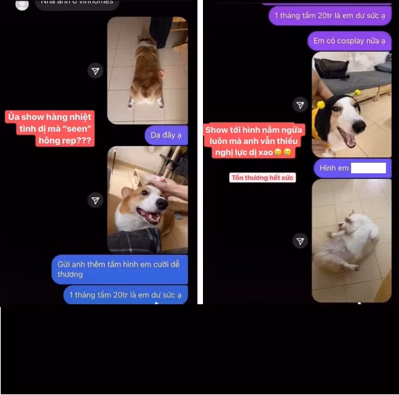 Đáp lại, Đoan Minh cũng không phải dạng vừa, cà khịa lại ngay: "Có tiền không mà đòi chu cấp 1 tháng 10 triệu?" và đòi tăng giá lên 20 triệu/tháng cho combo cả mẹ lẫn "con cưng" của mình. Sau khi người đàn ông ok với điều kiện của cô nàng và muốn xem ảnh chính chủ, gái xinh 9X liền gửi ngay hình "chân ngắn", "mông to" của chó cưng nhà mình qua.