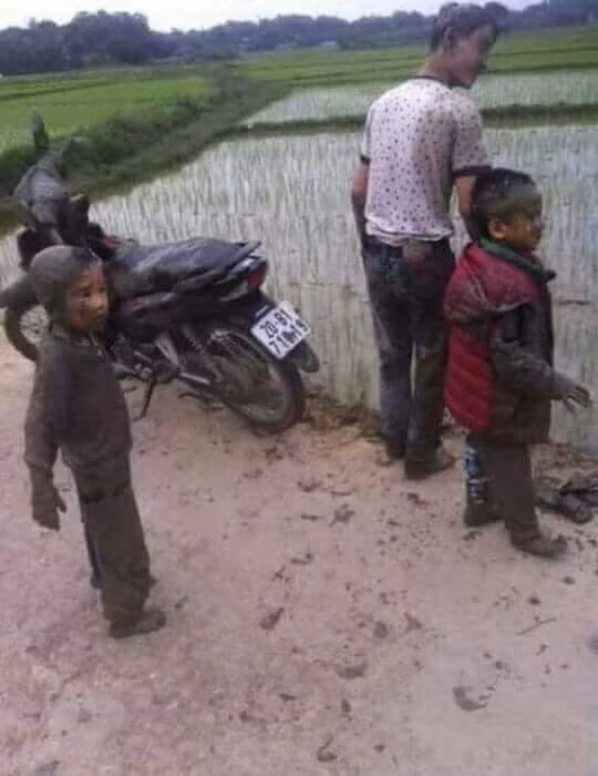 Trước đó, trên mạng không ít lần những tai nạn lao xuống ruộng được dân mạng chia sẻ trên mạng xã hội.