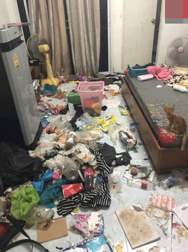 Trước cảnh tượng 'kinh hoàng này', rất nhiều người đã tham gia bình luận và không ngừng chỉ trích sự vô ý thức của nữ sinh được nhắc đến.