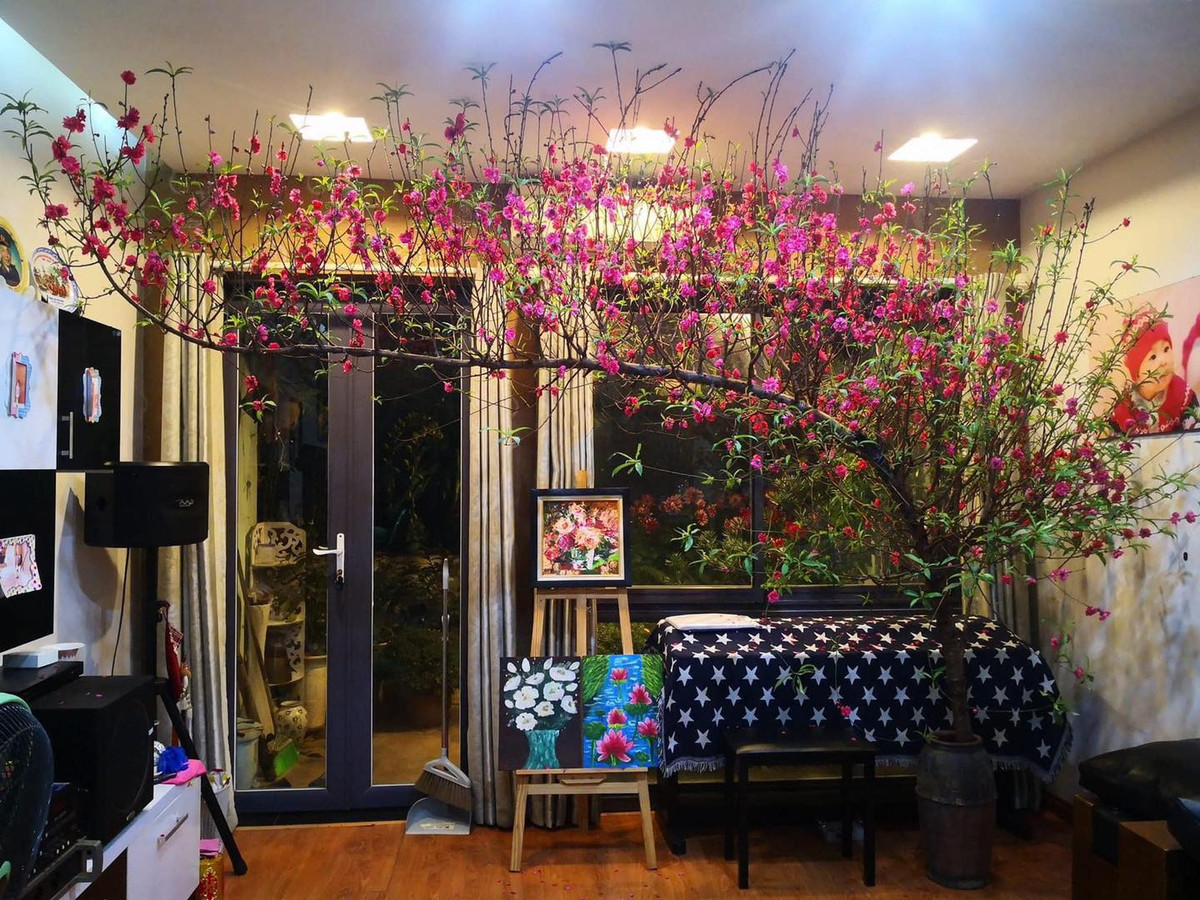 Đào là loại hoa đặc trưng được người Việt vô cùng ưa chuộng vào dịp Tết Nguyên đán, đặc biệt là tại miền Bắc. Một trong những niềm vui khi chơi đào Tết chính là hoa nở bung khoe sắc, tượng trưng cho may mắn và tài lộc của gia chủ.