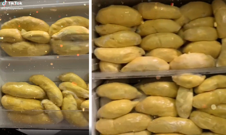 Mới đây, mạng xã hội lại được phen à ố hết lời trước hàng loạt tủ lạnh đầy ắp thức ăn, rau củ, nhưng cuối cùng tất cả đành "cúi đầu" chịu thua chỉ một chiếc tủ lạnh "ngập mặt" sầu riêng.