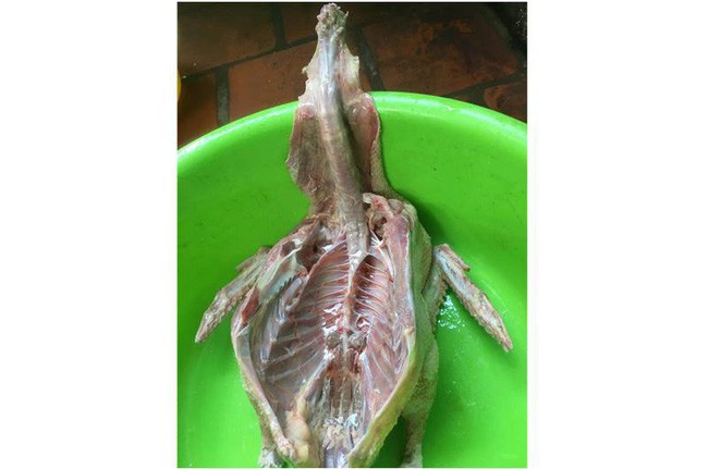 Phương thức mổ gà theo hướng vận nội công quả thực bá đạo, nhìn thì sạch sẽ nhưng không ai dám đụng đũa.