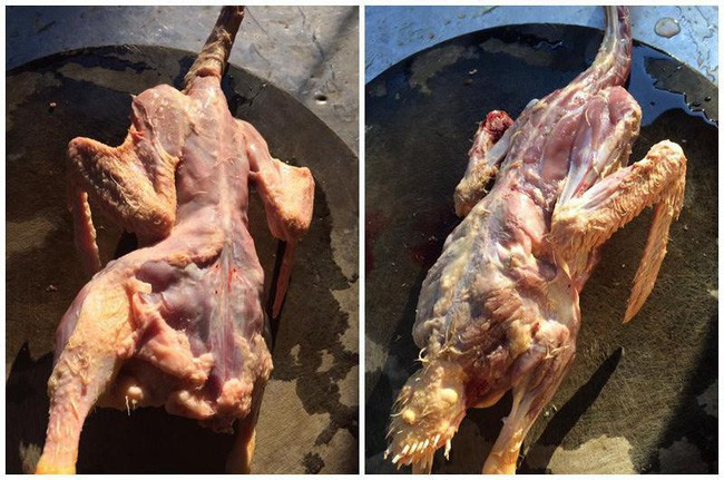 Quá ngại việc trong việc nhặt lông măng nên cô nàng trên đã dùng chiêu thức lột da luôn cho nhanh.