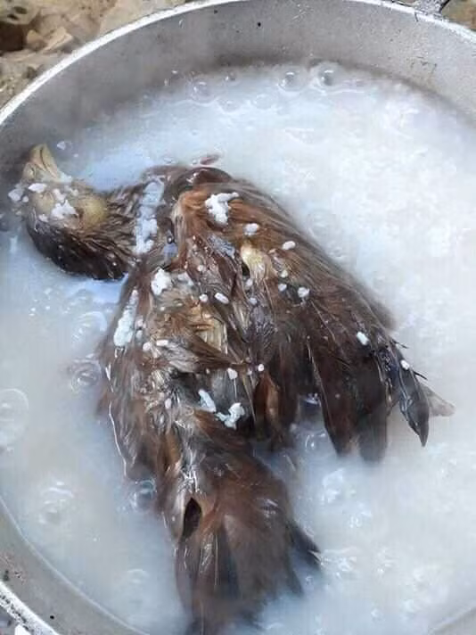 Khi mẹ sai xuống bếp nấu cháo gà và thành quả là còn nguyên lông.