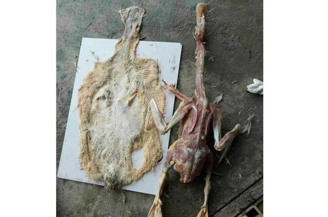 Làm thịt gà là cả một nghệ thuật và người thực hiện nó cần phải có kỹ năng để cắt tiết sao cho đẹp, làm lông sao cho sạch, luộc sao cho chín đều, màu đẹp và chặt sao cho vừa miếng.