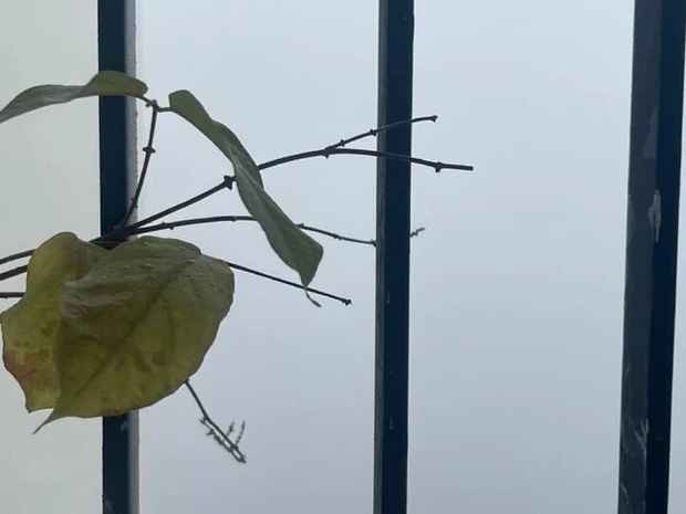 Nhiều người nói vui: "Sương mù mịt, đặc quánh thế này liệu ông Công ông Táo có thấy đường lên trời không?".