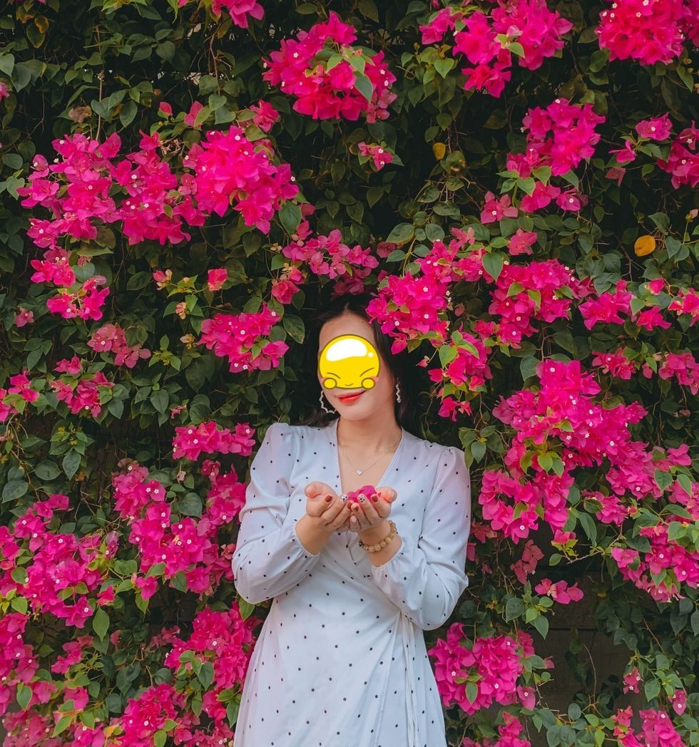 Tiết lộ thêm về điều này, anh Thắng - bảo vệ tại căn nhà cho biết, tấm biển được chủ nhà đặt cách đây 4-5 ngày. Nguyên nhân là bởi khách đến chụp hình với giàn hoa giấy quá đông, nhất là các buổi chiều và ngày giữa tuần.