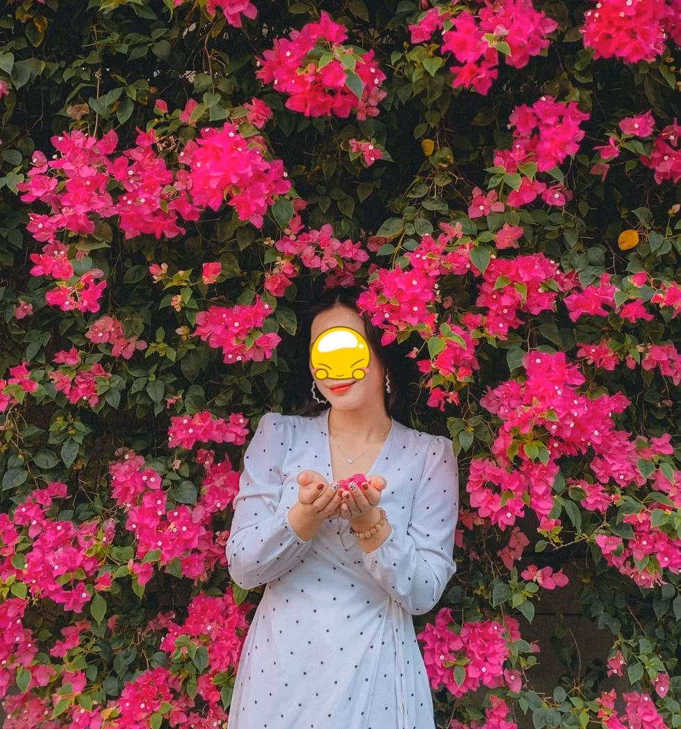 Tiết lộ thêm về điều này, anh Thắng - bảo vệ tại căn nhà cho biết, tấm biển được chủ nhà đặt cách đây 4-5 ngày. Nguyên nhân là bởi khách đến chụp hình với giàn hoa giấy quá đông, nhất là các buổi chiều và ngày giữa tuần.