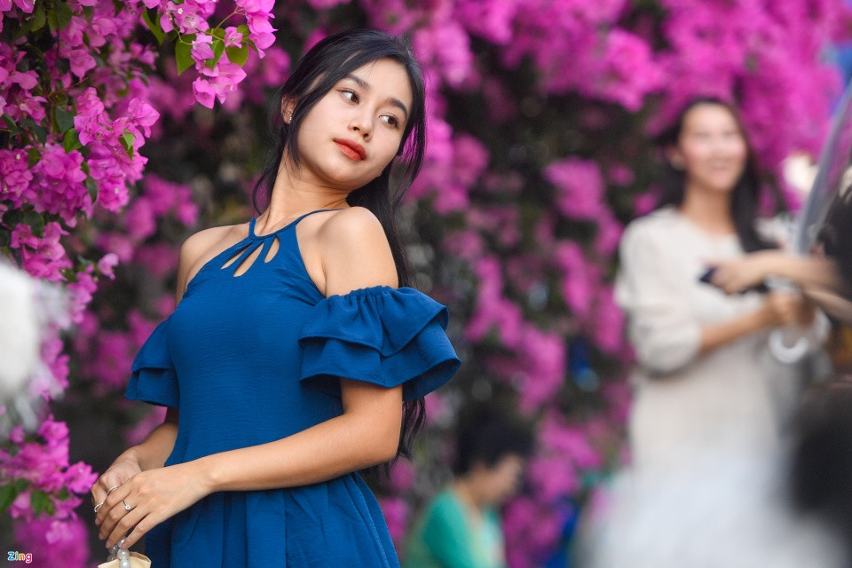 Được biết, giàn hoa giấy này đã được trồng khoảng 10 năm nay. Cứ đến dịp hoa nở, nhiều bạn trẻ lại đến chụp hình, check-in. Tuy nhiên, thời gian gần đây, số lượng người tìm đến lại tăng đột biến nhờ hiệu ứng lan truyền trên mạng. Ảnh: Zing