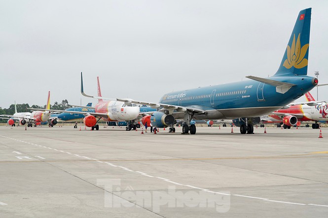 Vietnam Airlines dự kiến thiệt hại do dịch COVID-19 khiến hãng thất thu khoảng 50.000 tỷ đồng, tương đương khoảng 65% doanh thu kế hoạch cả năm 2020; có khoảng 50% nhân viên hãng này phải ngừng việc, còn tất cả nhân sự giảm lương. Ảnh máy bay xép kín các vị trí đỗ tại sân bay Nội Bài. Ảnh: VNA.