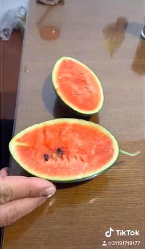 Sau khi đoạn clip bổ quả dưa tí hon được đăng tải, dân mạng để lại bình luận với đại ý chỉ cần cho vào cắn ngập mồm là ăn xong cả quả dưa.