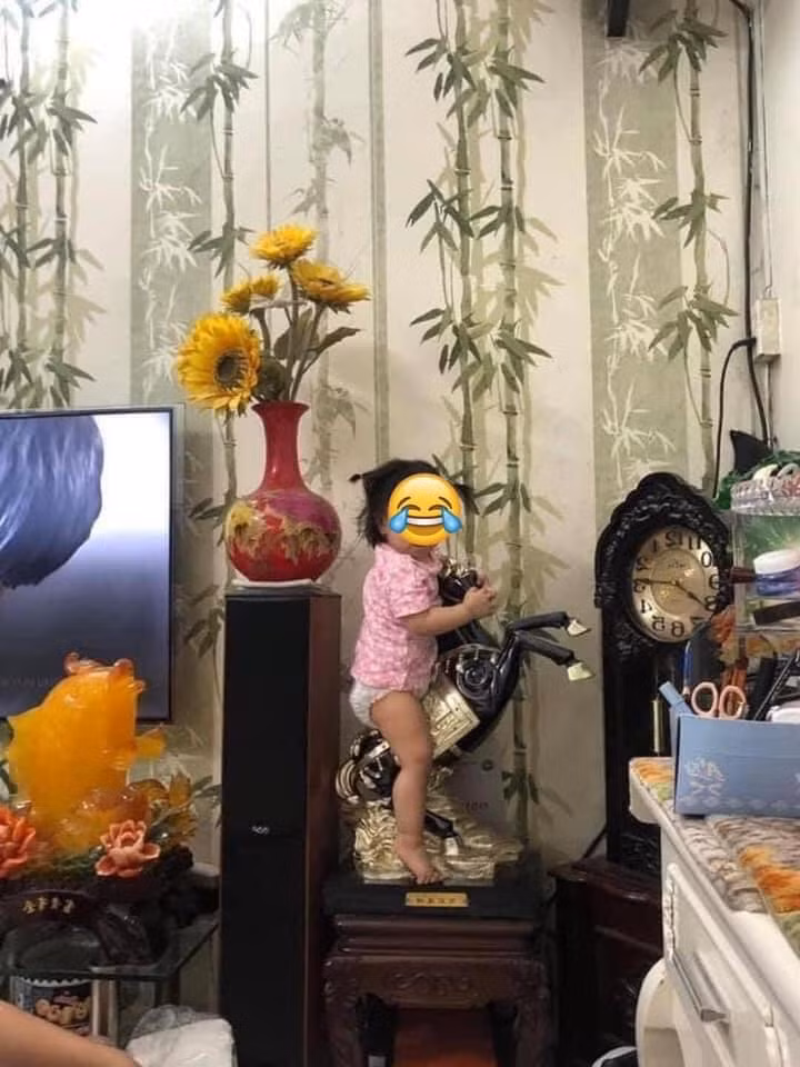 Dù là bé trai hay bé gái thì đều cùng chung sở thích là thích leo trèo ở bất cứ đâu.