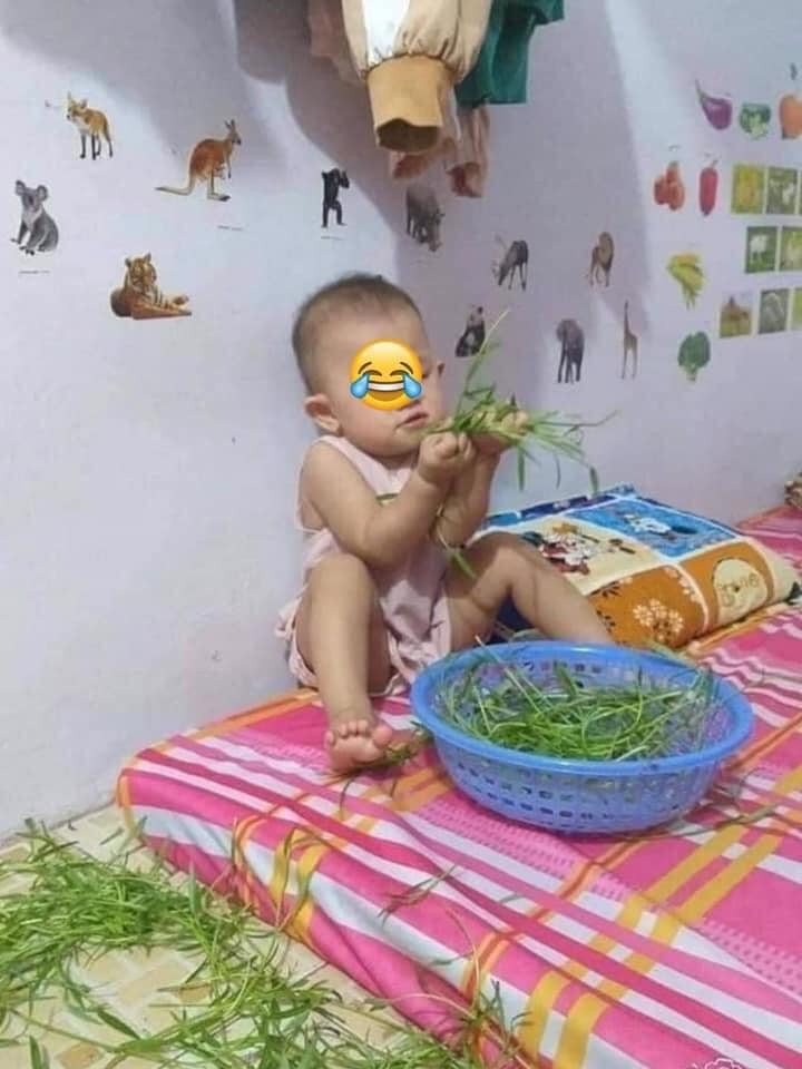 Những mẹ có con gái mới hiểu được các tiểu công chúa có thực sự hiền lành, dịu dàng, đằm thắm như nhiều người vẫn nghĩ hay không?