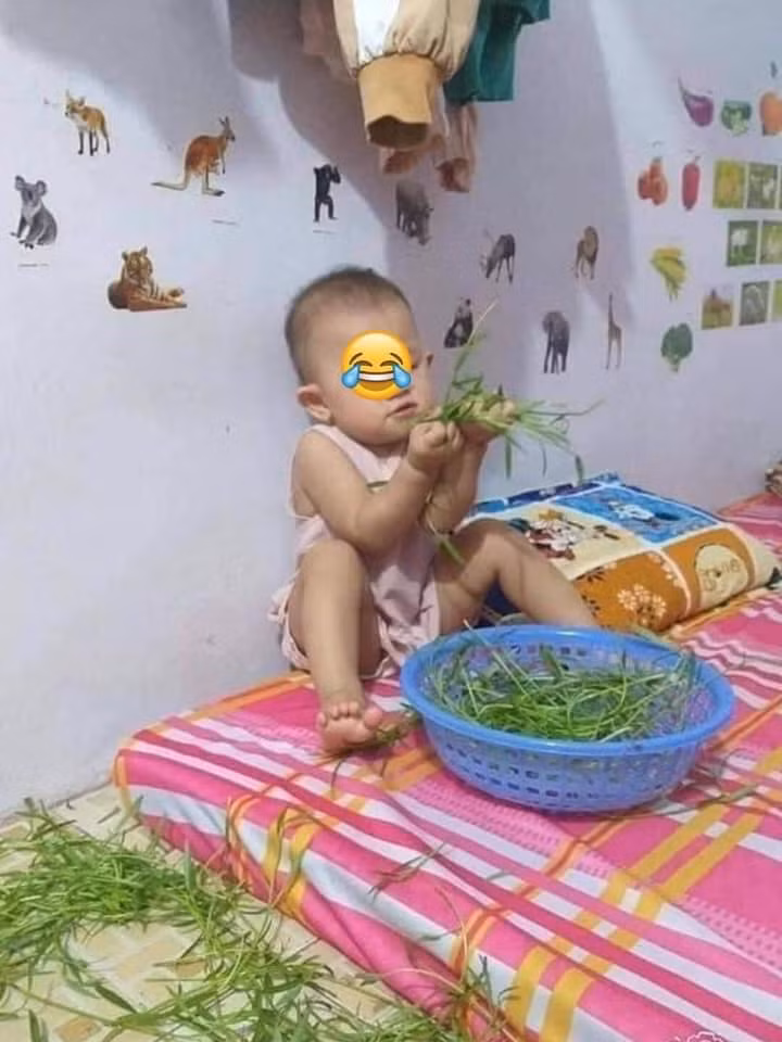 Những mẹ có con gái mới hiểu được các tiểu công chúa có thực sự hiền lành, dịu dàng, đằm thắm như nhiều người vẫn nghĩ hay không?