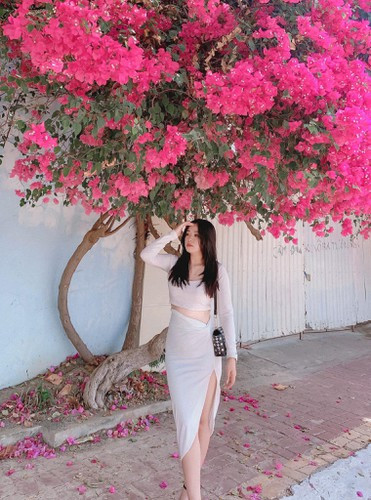 Trước tình trạng những giàn hoa giấy tuyệt đẹp tại Vũng Tàu bị kẻ gian phá hoại nhiều netizen đã lên tiếng bức xúc. Thậm chí, một số thành viên trên mạng xã hội còn yêu cầu các cơ quan chức năng phải vào cuộc và truy tìm hung thủ.