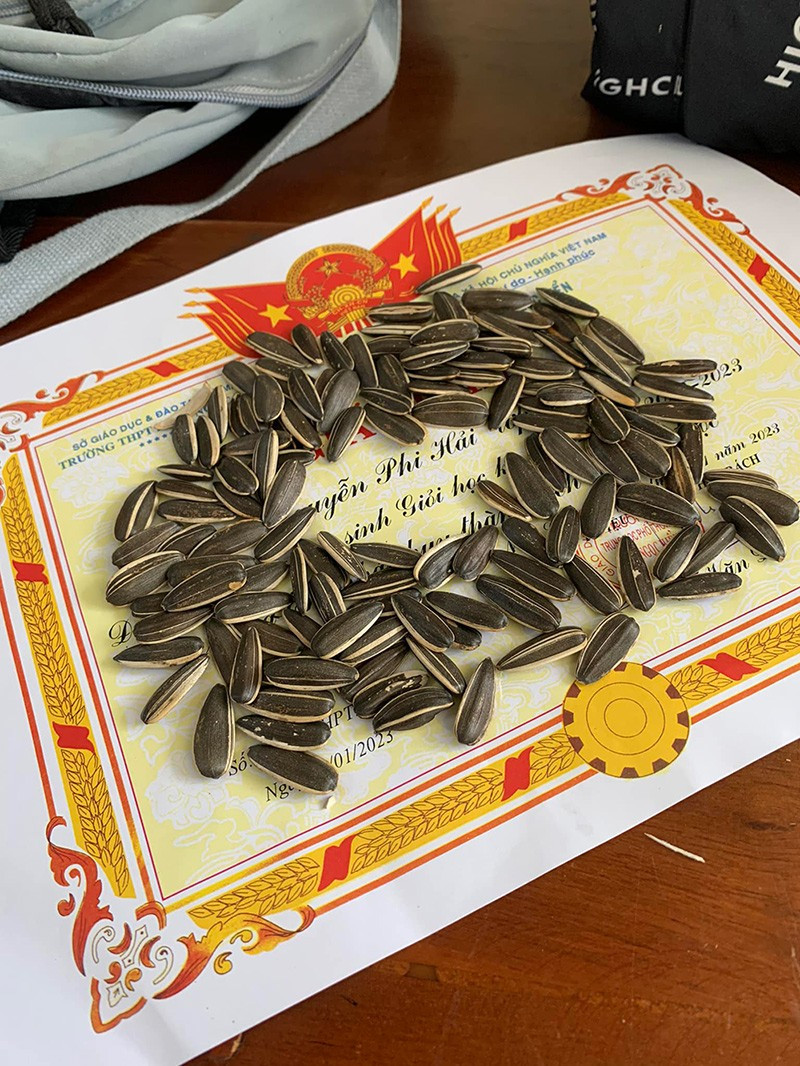 Đi học sau Tết mà không có hạt bí, hạt hướng dương mang theo đến lớp thì thật là thiếu sót.