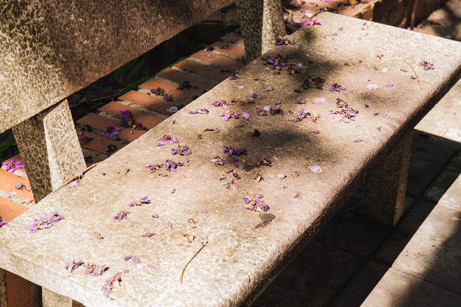 Dưới phần bình luận của bộ ảnh trên, netizen để lại bình luận với đại ý khi những nỗ lực và cố gắng của mọi người đẩy lùi được dịch bệnh thì các bạn học sinh sẽ lại được gặp nhau, lại được ngồi bên nhau để nhắc về những kỷ niệm đẹp thời học trò.