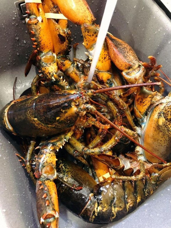 Mai Ho tiet lo ly do khong song chung voi bo me chong-Hinh-4