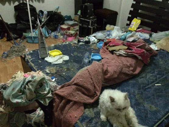 Trước đó, không ít lần dân mạng phải ngã ngửa với hình ảnh phòng trọ bẩn như bãi rác được đăng tải lên mạng xã hội.