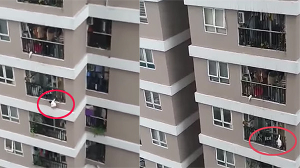 Clip em be roi tu tang 12 chung cu, ai xem cung thot tim