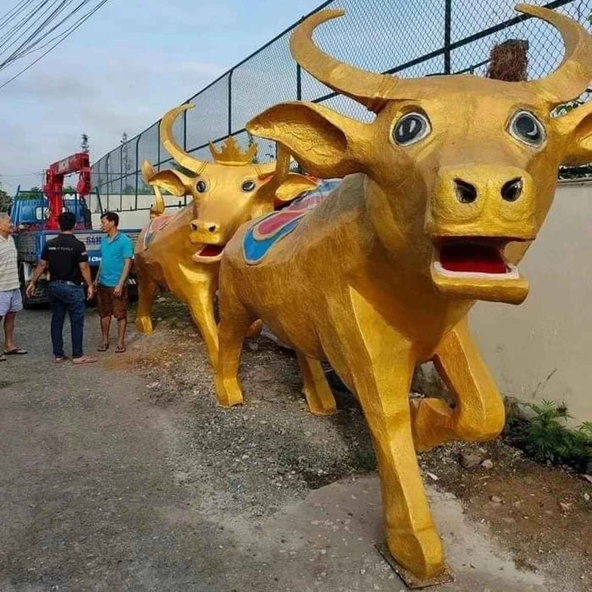 Những con trâu vội vã của Tết Nguyên đán năm 2021 (Ảnh: Facebook).