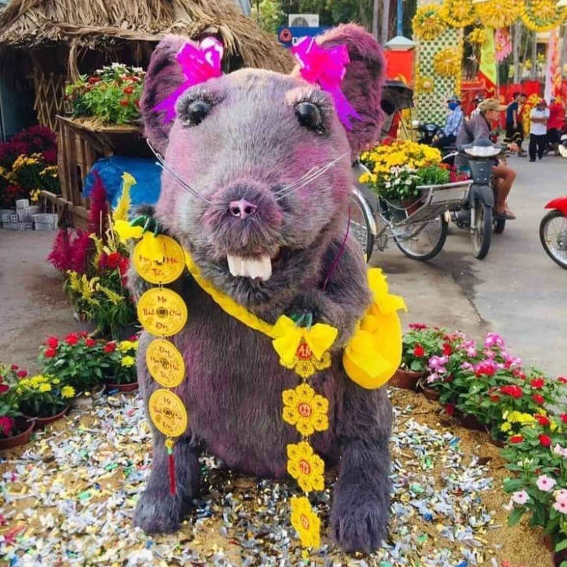 Thậm chí, có địa phương còn trưng bày nguyên bản một con chuột đón năm mới, chỉ khác là kích thước lớn hơn, với má hồng làm duyên.