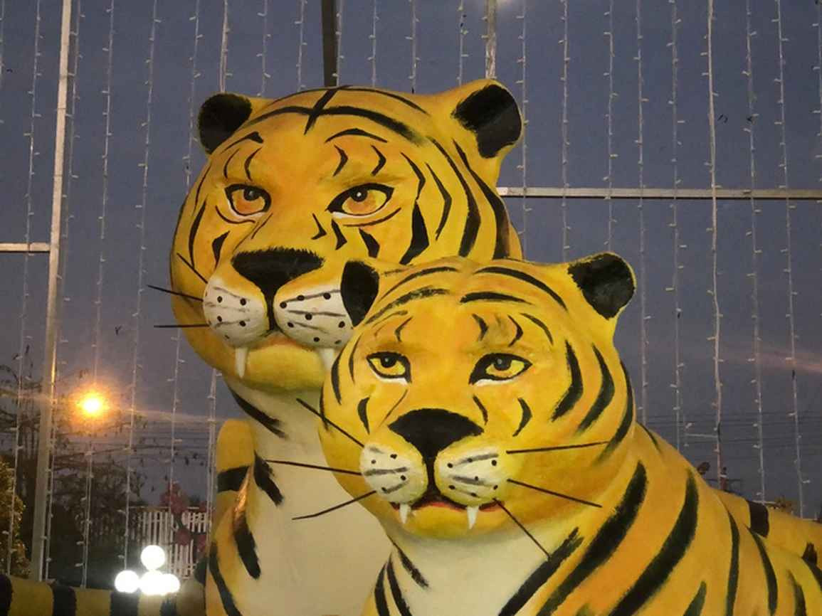 Linh vật hổ Bạc Liêu sau khi được gắn thêm nanh và chỉnh lại ánh mắt, vẫn không bớt "hờn cả thế giới".