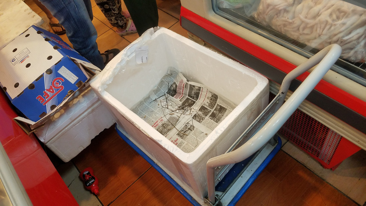 Hon loan canh nguoi Ha Noi gianh giat de mua bang duoc tom hum giam gia-Hinh-3