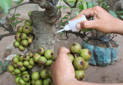 Chỉ cần 1 lọ keo 502, nhiều người bán hàng không có tâm đã khiến các vị khách của mình thành nạn nhân.