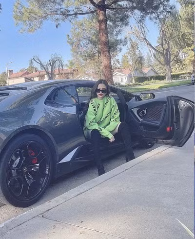 Thời điểm vừa mới trở về cuộc sống độc thân, Ngô Lan Anh tuyên bố sẽ học thanh nhạc, diễn xuất để một lần nữa tham gia showbiz Việt.