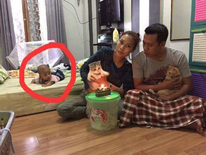 Dưới phần bình luận, nhiều người để lại bình luận chúc mừng sinh nhật "cô" mèo, cảm thấy may mắn vì mèo đã gặp được chủ nhà yêu thương.