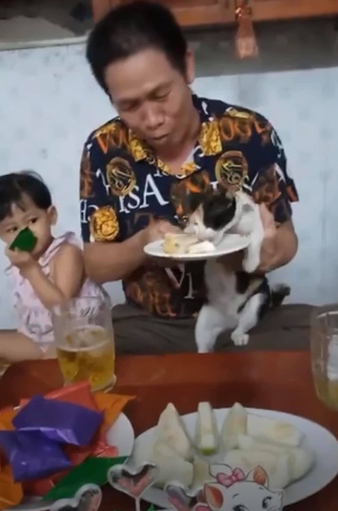 Thậm chí, trên chiếc bánh sinh nhật tặng thú cưng, dòng chữ đỏ nổi bật với nội dung: "Mừng sinh nhật cô Mèo" đã phần nào khẳng định được "vị thế" trong nhà.